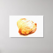 Toile Sfogliatella (Recto)