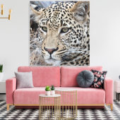 Toile Shasha jeune léopard mâle (Insitu(Salon))