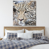 Toile Shasha jeune léopard mâle (Insitu(Chambre))