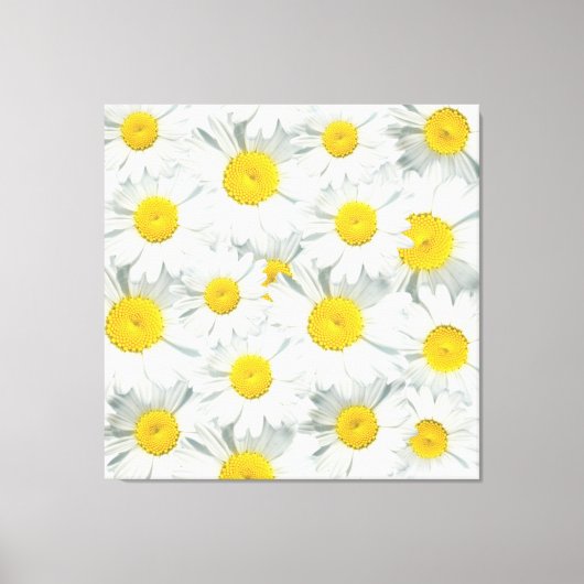 Toile Shasta Daisies (Recto)