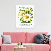 Toile Shasta Daisy Vintage semis (Insitu(Salon))