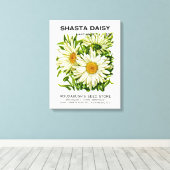 Toile Shasta Daisy Vintage semis (Insitu (Plancher de Bois))