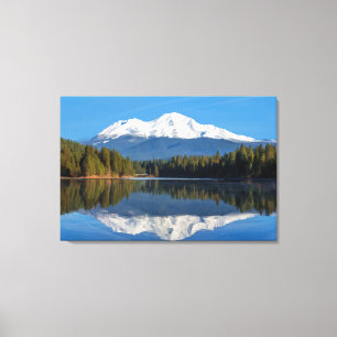 TOILE SHASTA DE BÂTI REFLÉTÉ