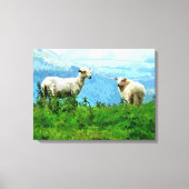 TOILE SHEEP (Recto)