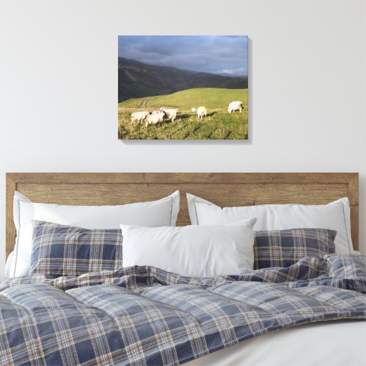 TOILE SHEEP DE MONTAGNE (Insitu(Chambre))