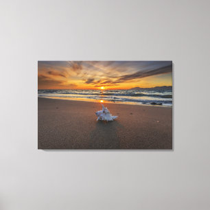 Toile Shell à la plage à l'île du coucher du soleil