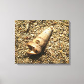 Toile Shell Unicorn sur la plage (Recto)