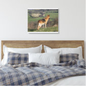 Toile Shephard allemand regardant la colline (Insitu(Chambre))