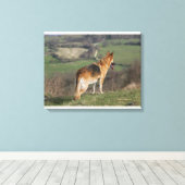 Toile Shephard allemand regardant la colline (Insitu (Plancher de Bois))