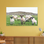 Toile Shetland Sheep (Insitu(Salon))