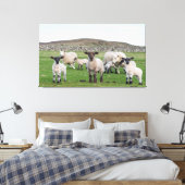 Toile Shetland Sheep (Insitu(Chambre))