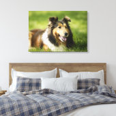 Toile Shetland Sheepdog assis sur l'herbe (Insitu(Chambre))