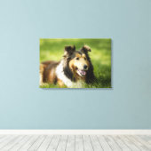 Toile Shetland Sheepdog assis sur l'herbe (Insitu (Plancher de Bois))