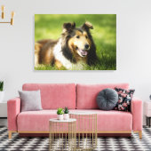 Toile Shetland Sheepdog assis sur l'herbe (Insitu(Salon))