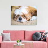 Toile Shih Tzu (Insitu(Salon))