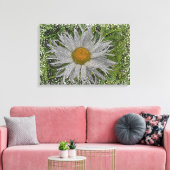 Toile Show Me A Daisy #1 (Insitu(Salon))