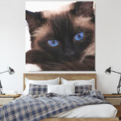 Toile Siamese Kitten Sweetie Face (Insitu(Chambre))