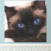 Toile Siamese Kitten Sweetie Face (Insitu (Plancher de Bois))