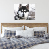 Toile Siberian Husky Puppy (Insitu(Chambre))