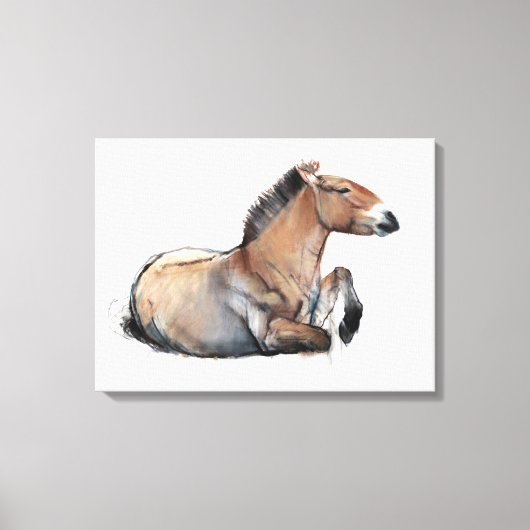 Toile Siège Przewalski 2011 (Recto)