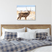 Toile Sika Stag dans un champ neigeux | Japon (Insitu(Chambre))