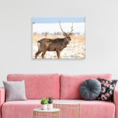 Toile Sika Stag dans un champ neigeux | Japon (Insitu(Salon))