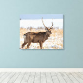 Toile Sika Stag dans un champ neigeux | Japon (Insitu (Plancher de Bois))