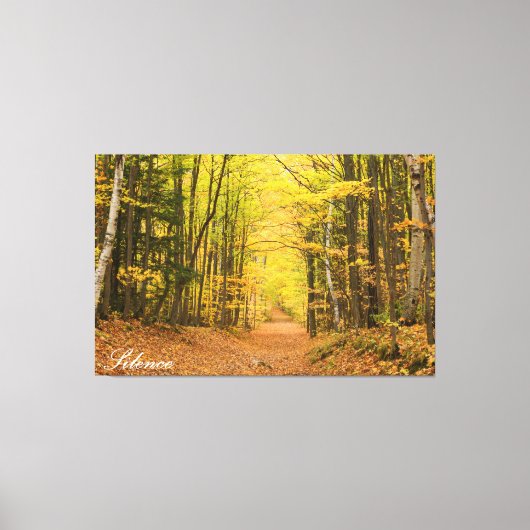 TOILE SILENCE (Recto)