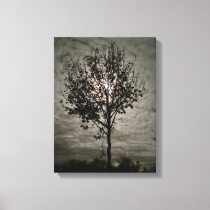 Toile Silence Lumineux : Une Nuit de Pleine Lune
