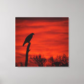 Toile Silhouette d'un Hawk au coucher du soleil (Recto)