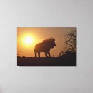 Toile Silhouette d'un lion