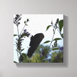Toile Silhouette papillon