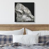 Toile Silicone (Insitu(Chambre))