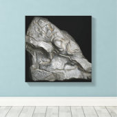 Toile Silicone (Insitu (Plancher de Bois))