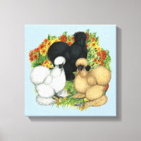 Silkies du jardin de fleurs