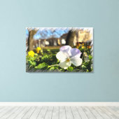 Toile Silver white pansy (Insitu (Plancher de Bois))