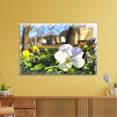 Toile Silver white pansy (Insitu(Salon))