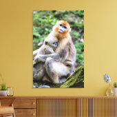 Toile Singe à nez retroussé doré avec bébé (Insitu(Salon))