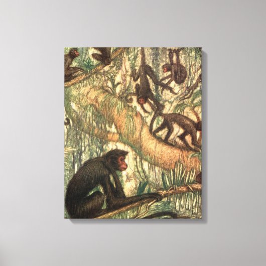 Toile Singe araignée à face rouge de Louis Sargent (Recto)