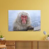 Toile Singe des neiges japonais au printemps chaud (Insitu(Salon))