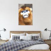 Toile Singe doré mâle Pygathrix roxellana (Insitu(Chambre))