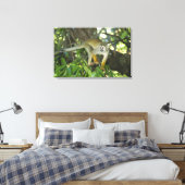 Toile Singe écureuil commun, (Saimiri sciureus), Rio (Insitu(Chambre))