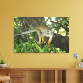 Toile Singe écureuil commun, (Saimiri sciureus), Rio (Insitu(Salon))