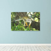 Toile Singe écureuil commun, (Saimiri sciureus), Rio (Insitu (Plancher de Bois))