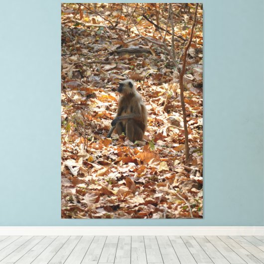 Toile Singe en saison sèche (Insitu (Plancher de Bois))