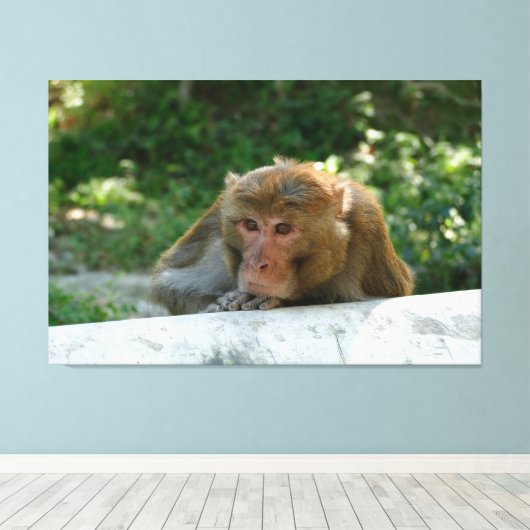 Toile Singe - Grand-père (Insitu (Plancher de Bois))