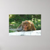 Toile Singe - Grand-père (Recto)