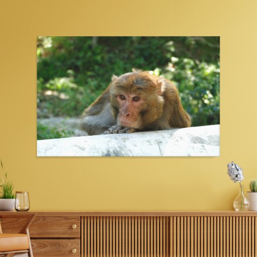 Toile Singe - Grand-père (Insitu(Salon))