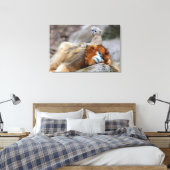 Toile Singe roux à nez retroussé père avec bébé (Insitu(Chambre))