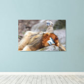 Toile Singe roux à nez retroussé père avec bébé (Insitu (Plancher de Bois))